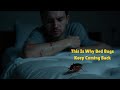 Why Do Bed Bugs Come Back?
