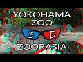 Yokohama Zoo, Zoorasia Japan in 3D Anaglyph - What are the animals? 横浜ズーラシア動物園