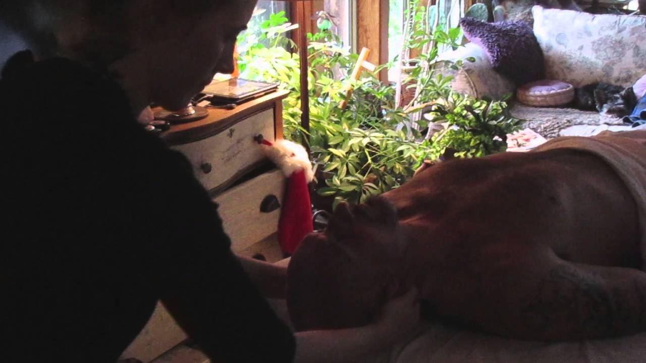 Salt Spring Massage