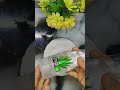 وداعا لتمدد الجلد الحل الأمثل على الإطلاق