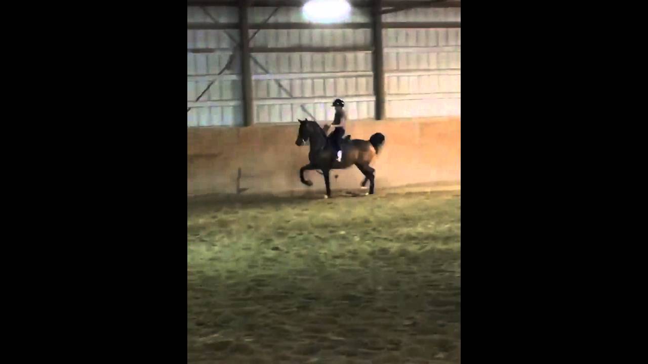 Grace Stimson & Triss 3/16/2016