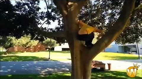 Wikiloops Session 8150 & Session 16820