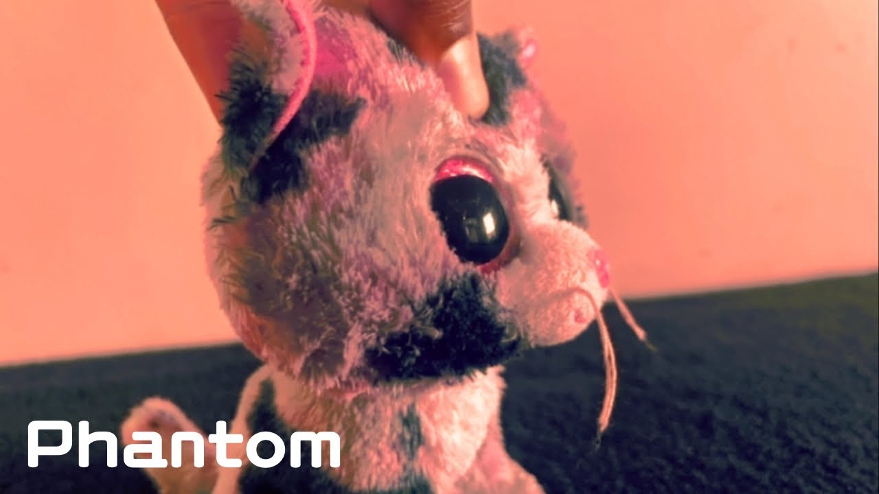 RACHEL - Dancing Through The Fire (Official Music Video)