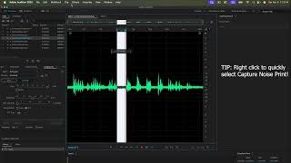 Cleaning and Repairing Audio in Adobe Audition