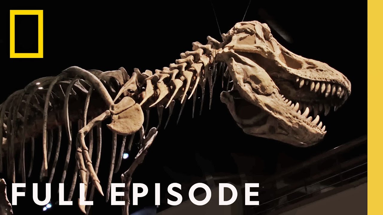 Uncovering the Mysteries of the Dinosaurs: The True Jurassic Americas (Full Episode) | Drain the Oceans – Video