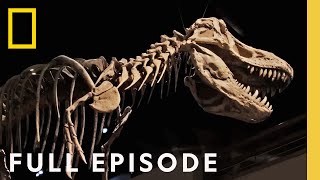 Secrets of the Dinosaurs: The Real Jurassic Americas (Full Episode) | Drain the Oceans screenshot 4