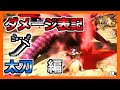 【MH4G】４Ｇの太刀が弱いと言われてる理由は完全にコレのせい