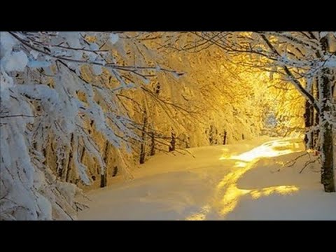 مناظر طبيعية في شتاء