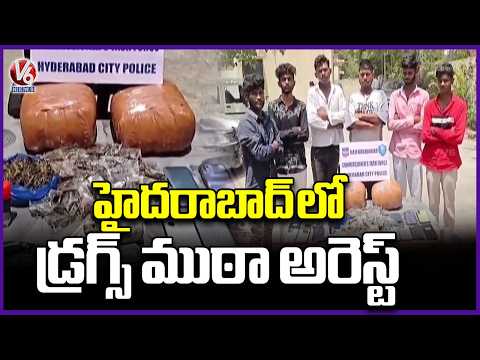 Police Arrest 12 Drug Sellers and Buyers in Mailardevpally, Hyderabad | V6 News - V6NEWSTELUGU