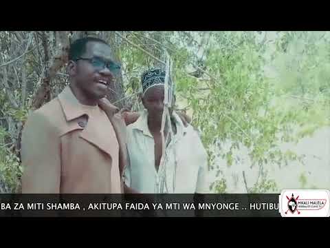 DR MKALI MALELA KWENYE UTAFITI WAKE WA MITI SHAMBA NA TIBA ASILI LEO AKUTANA NA DAWA KUKU