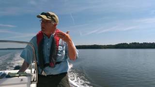 Oysters in the Great Bay