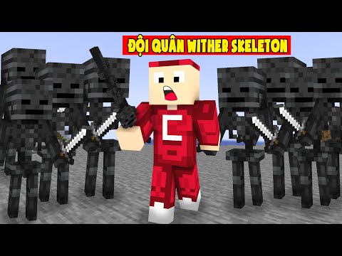 Minecraft Nhưng Đố