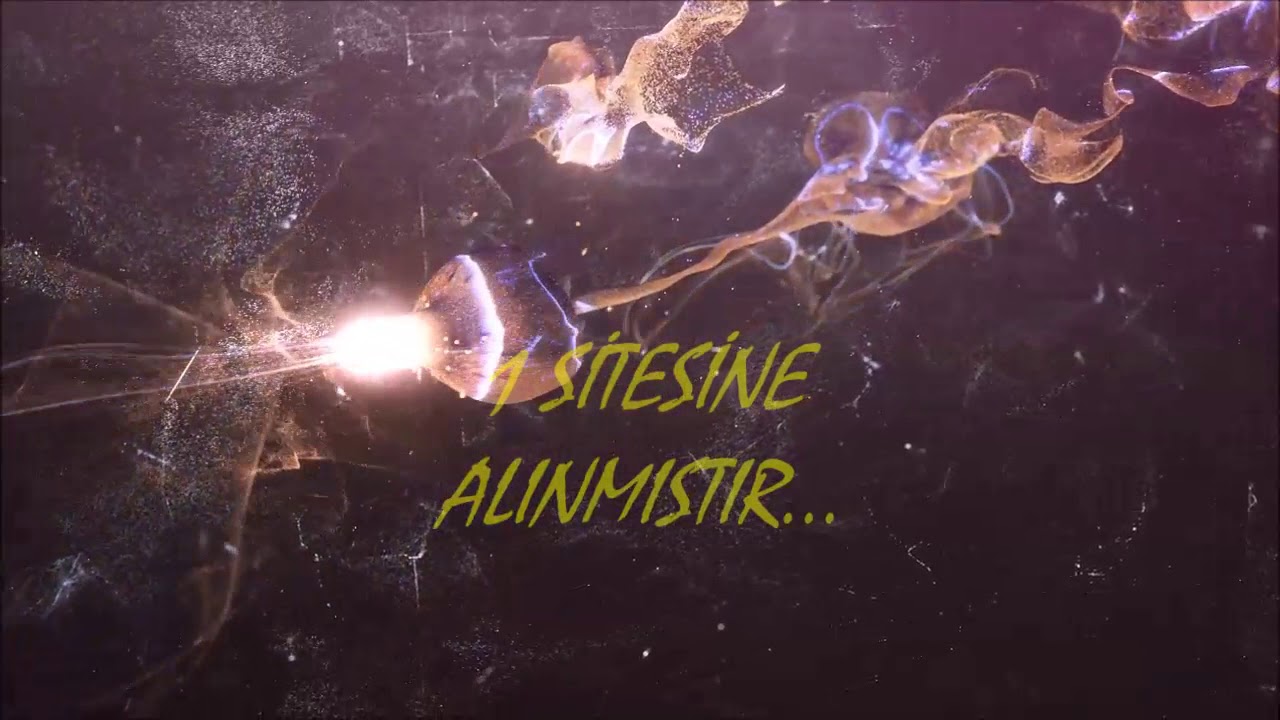 RinaMt2 - [ KRAL ] xSenoLREİS VS ReoSTAR 1 SİTESİNE TEBRİKLER..