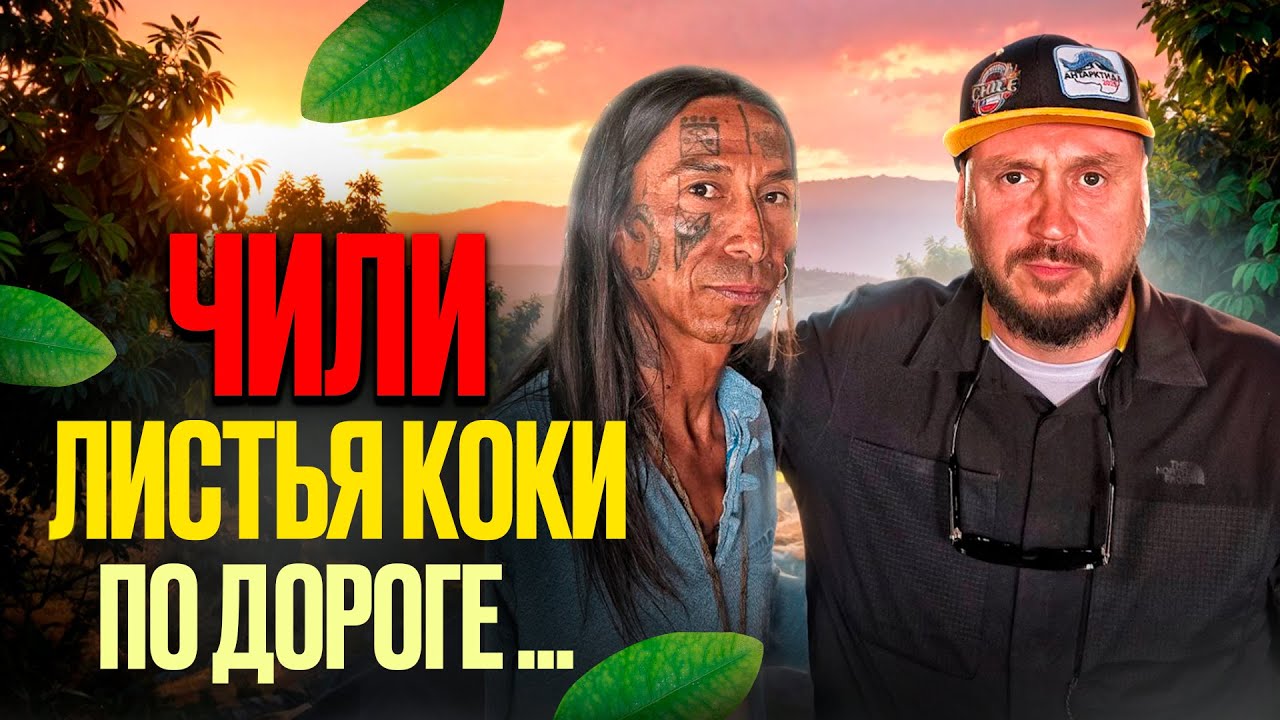 ЧИЛИ / ЛИСТЬЯ КОКИ / пустыня Атакама