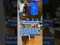 Northumberland shop transformed into magical Narnia