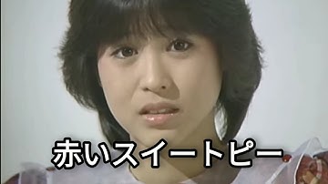 松田聖子・赤いスイートピー【歌詞付き】