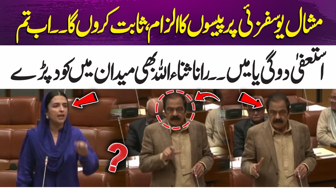 Money Allegations Against Mashal Yousafzai Spark Chaos in Senate | 365 News