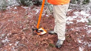 Extractigator and a small Scotch pine