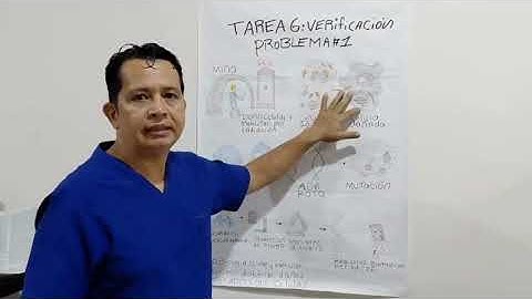 Tarea 6: verificación Problema  1