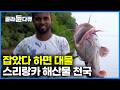 배도 필요 없다. 해수와 민물이 만나는 곳에 작살 몇 번 찔렀더니|많이 잡지도 않는다. 축복 받은 어장 스리랑카 라군|인간과 바다 |#골라듄다큐