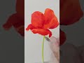 #shorts how to paint poppy in watercolor