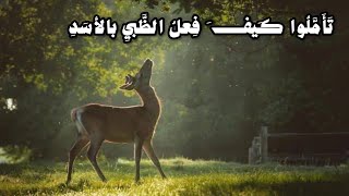 نالت على يدها ما لم تنله يدي نقشًا على معصم أوها به جلدي…
