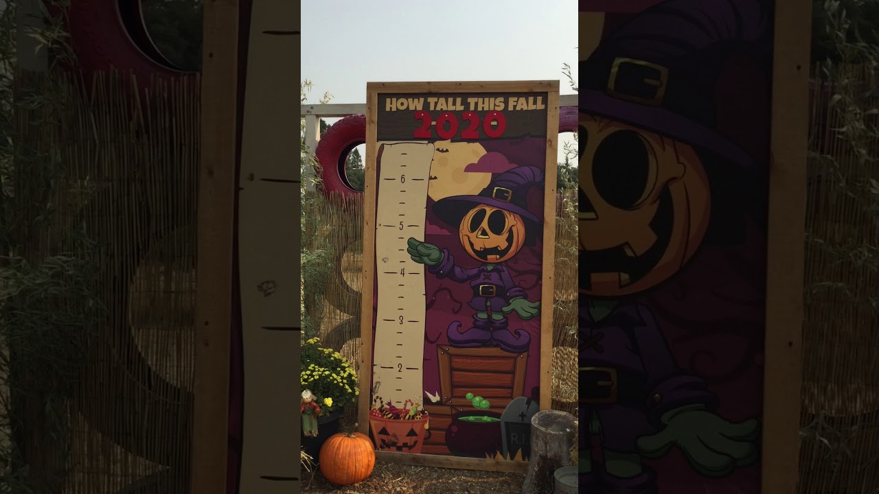 2nd Grade Pumpkin Patch Field Trip #1