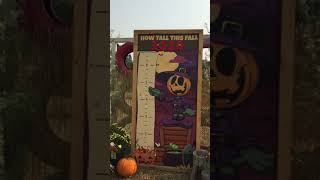 2nd Grade Pumpkin Patch Field Trip #1