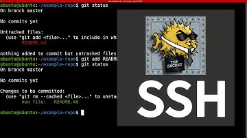 Configura llaves SSH en GitHub