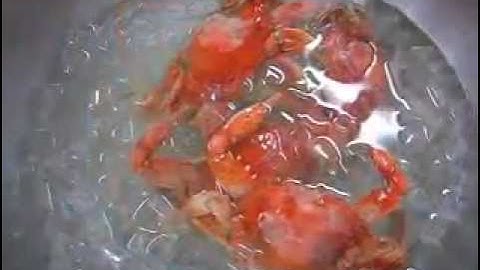 How to Boil Blue Crabs