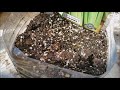 Beginning of video