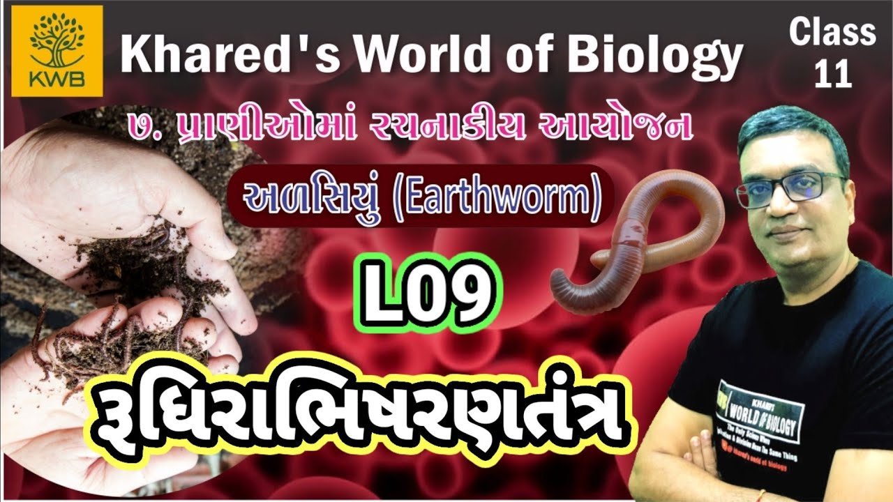 L-09 | Earthworm circulatory system | structural organization in animal ...