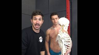 Ac Joint Seperation - Proper Movement And Position -Moveu