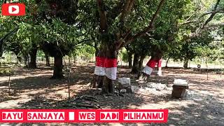 Wes DADI PILIHANMU _voc. BAYU Sanjaya
