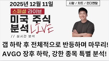 [미국주식]기술주 갭 하락 후 전체적으로 반등하며 마무리! 하지만 브로드컴은 왜 빠지나? 좋은 주식들 분석합니다 (AVGO, PL CIEN, AGQ, ATI, HOOD, LMND)