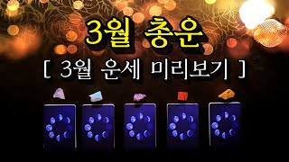 [타로카드] 3월 총운 ✨ 3월 운세 미리보기