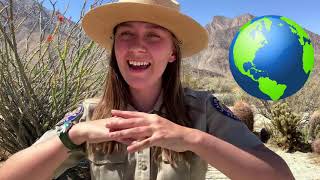 Effects Of Climate Change On Desert Plants And Animals At Anza Borrego Desert State Park