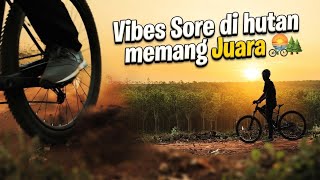 Melepas Penat: Menikmati Kesunyian Hutan Karet Diatas Dua pedal di Sore Hari 🚴🚵🌄
