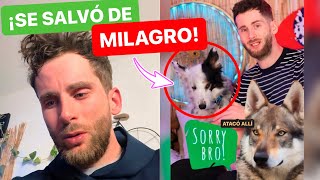 PERRO LOBO CHECO casi ACABA CON LA VIDA de Skadi  'Sobrevivió de MILAGRO'  (SKADI & THOMI)