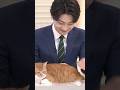 放送事故！乱入猫とおふざけキャスター