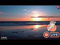 Infinite Heavenly Skies- Cosmic Euphony LIVE - Meditate- Instant Relaxation Deep Sleep - 11 hr music