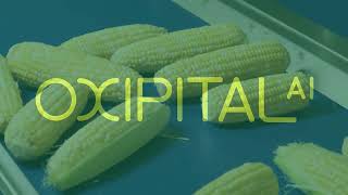 Corn and Pepper Quality Inspection with Visual AI