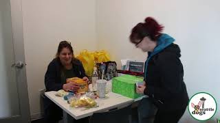 Seattle Dogs Homeless Program
