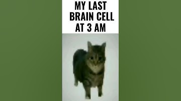 My last brain cell 🧠