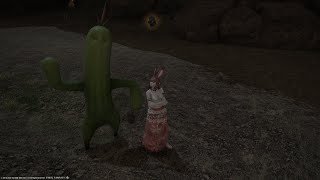 FFXIV - Seducing the Cactuar Jack