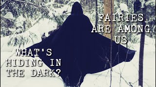 Winter's Dark: Eight Eerie TRUE Encounters with Winter Fairies