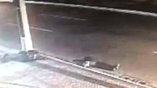 vídeo mostra acidente que matou motociclista em Natal-RN