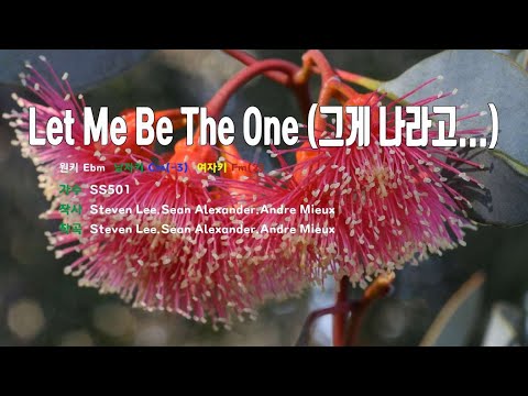 [은성 반주기] Let Me Be The One (그게나라고...) - SS501