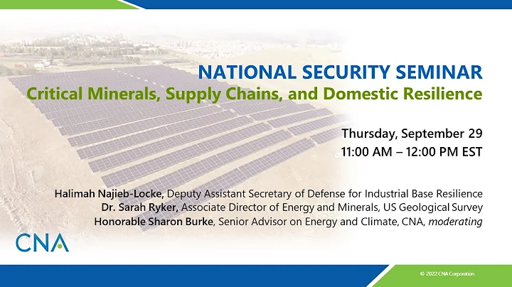 Critical Minerals, Supply Chains, and Domestic Resilience