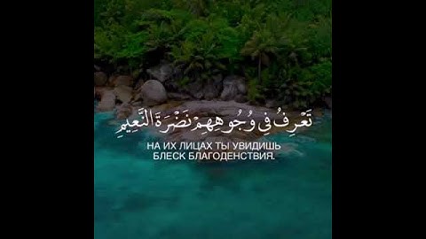 أرح سمعك... القارئ طارق محمد/حالات واتس اب